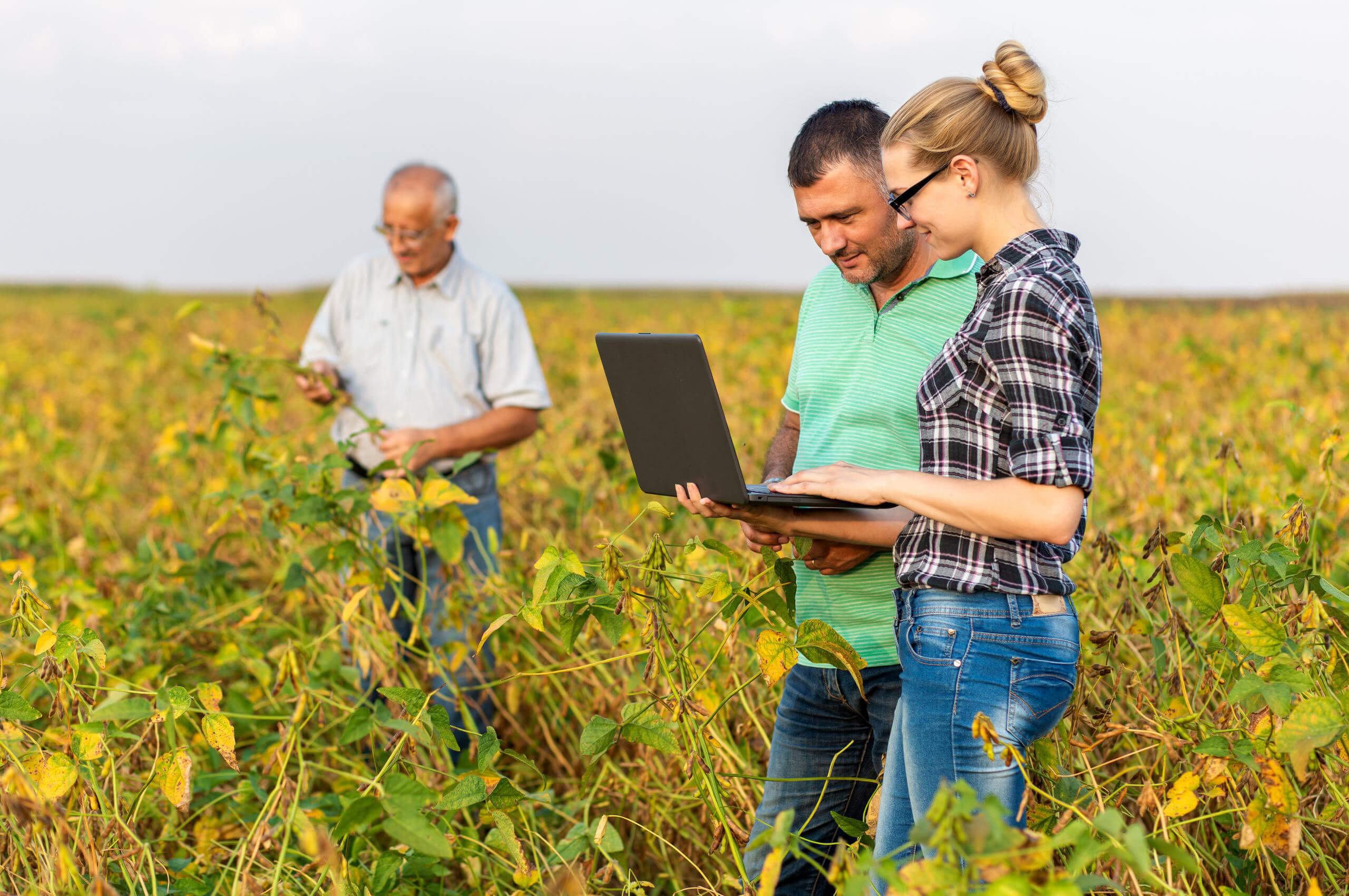 Fidelity Bank makes strategic commitment to support agriculture - Access  Agric